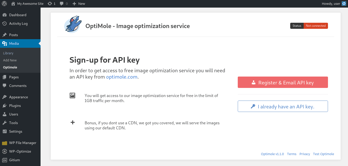 Request an API key